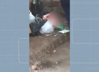 Bebê é encontrado após ser abandonado próximo a lixo em Salvador; mulher passou pelo local, ouviu choro e fez resgate