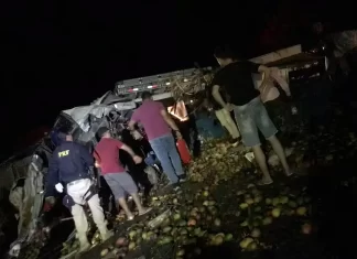 Acidente entre ônibus e caminhão deixa 25 mortos na Bahia