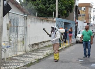 Feira tem um paciente internado com dengue hemorrágica; cidade já registra 72 casos confirmados da doença