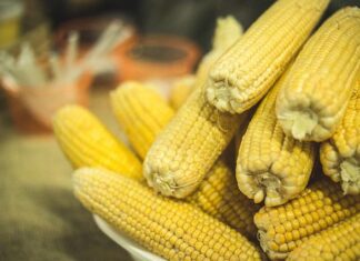 Mudanças climáticas e agrotóxicos têm diminuído produção de alimento