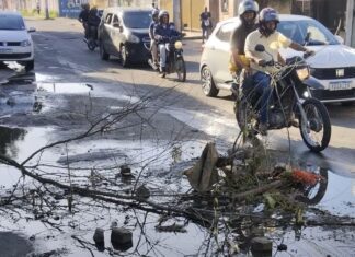 Obra parada, lixo e focos do mosquito da dengue; confira as reclamações desta semana