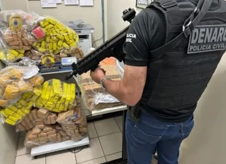 Polícia Civil incinera mais de 200 quilos de entorpecentes em Vitória da Conquista