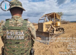 Monitoramento via satélite alerta PM sobre desmatamento ilegal em Andaraí, Chapada Diamantina