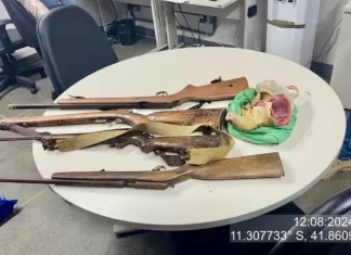 CIPPA Lençóis apreende armas de fogo e carne de caça em operação no município de Jussara