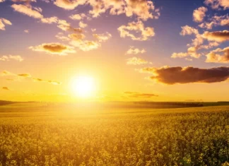 Inmet: previsão emite alerta para calor intenso em regiões do Brasil nos próximos três meses