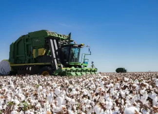 Bahia supera expectativas e finaliza a safra de algodão com 345 mil hectares plantados