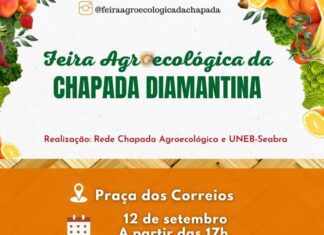 Feira agroecológica da Chapada Diamantina valoriza os quintais produtivos e o artesanato dos produtores e produtoras locais
