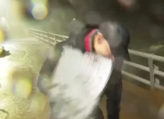 Jornalista é atingido por destroço ao vivo enquanto cobria furacão Milton na Flórida