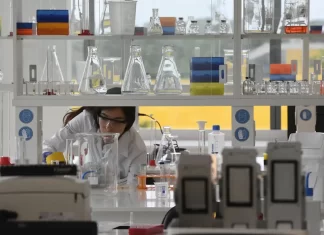 Senai atenderá 10,8 mil micro, pequenas e médias indústrias em 2025