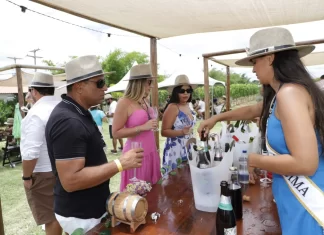 Enoturismo de Morro do Chapéu impulsiona economia da Chapada Diamantina