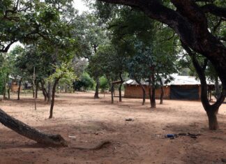 Expansão urbana preocupa indígenas em Brasília