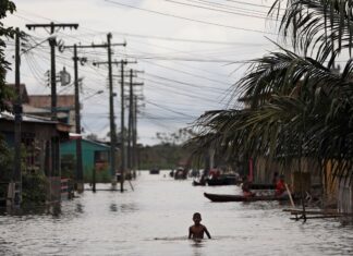 Serviço Geológico alerta sobre cheias na Bacia do Amazonas