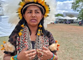 Povo Rikbaktsa volta a extrair látex sem patrões e respeitando a mata