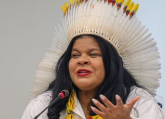 Ministra destaca trabalho inédito na proteção dos povos indígenas