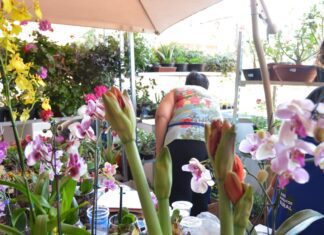 Brasil bate recorde na abertura de pequenos negócios no 1º tri do ano