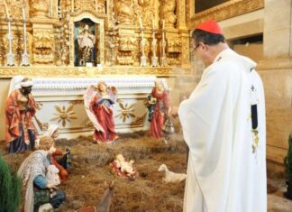 Conclave: Arcebispo De Salvador E Mais Seis Brasileiros Tem Direito A Voto Na Escolha Do Papa; Saiba Quem