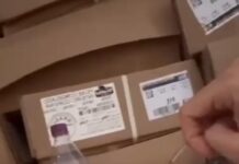 Prefeito Renan de Ziza distribui peixes selecionados e kit especial com dendê, leite de coco, arroz e refrigerante Fanta Uva (assista ao vídeo)