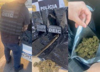 Polícia Apreende Seis Quilos De Maconha Que Seriam Vendidos Na Micareta De Feira