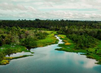 Área de proteção terá trilha ecológica e turismo de base comunitária