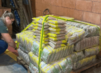 Governo apreende 32 toneladas irregulares de arroz e feijão em São Paulo