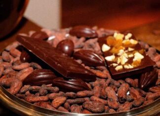 Emprego dos sonhos: conheça grupo que recebe dinheiro para identificar qualidade de cacaus e chocolates na Bahia