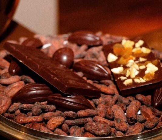 Emprego dos sonhos: conheça grupo que recebe dinheiro para identificar qualidade de cacaus e chocolates na Bahia