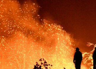 Incêndio florestal em Nova Jersey pode se tornar o maior do estado Incêndio florestal em Nova Jersey pode se tornar o maior do estado