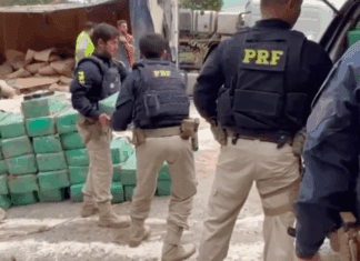 Caminhão com quase uma tonelada de maconha tomba em rodovia do ES