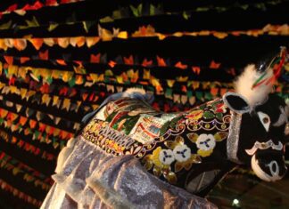 “Maranhão de Reencontros” esquenta a prévia junina em São Luís