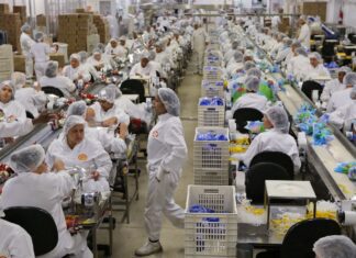 1º de Maio: PEC do Fim da Escala 6×1 continua fora da pauta da Câmara