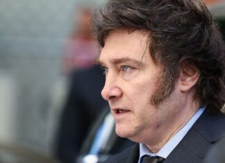 Milei supera direita tradicional em berço político de ex-presidente Milei supera direita tradicional em berço político de ex-presidente