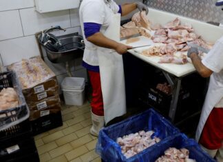 Prazo de 28 dias para Brasil ficar livre da gripe aviária começa hoje