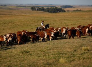 PIB cresce 1,4% no primeiro trimestre de 2025