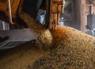 PIB atinge patamar recorde pelo 14º trimestre seguido