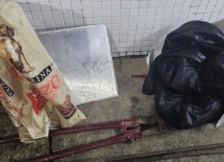 Quatro Pessoas São Presas Ao Tentarem Invadir Posto De Saúde Em Amaralina
