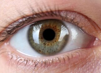 Injeções com partículas de ouro restauram visão em ratos cegos, diz estudo