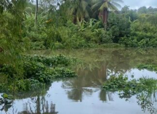 Alagamento Na Via Metropolitana Gera Dificuldade Na Locomoção Dos Moradores Nesta Quarta (07)