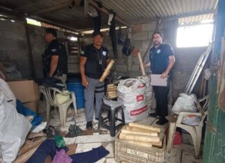 Polícia Técnica Integra Operação Contra Comércio Ilegal De Fogos De Artifício Na Bahia