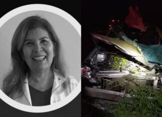 Médica Morre Após Colisão Com Cavalo Na BR-407, Na Bahia