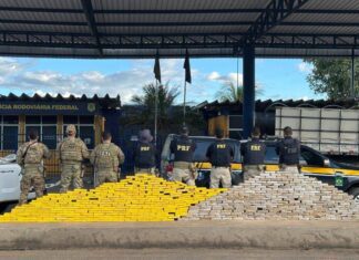 Operação Lockdown Apreende Meia Tonelada De Drogas E Prende 37 Suspeitos Na Bahia