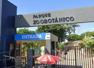 Zoológico De Salvador Reabre Na Terça (3) Após Conclusão Da Primeira Etapa Da Reforma