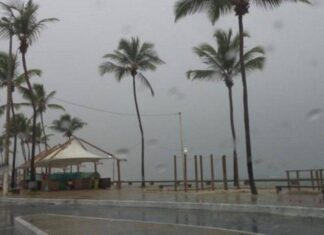 Bahia Tem 19 Municípios Em Estado De Emergência Por Causa Das Chuvas