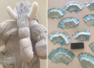 Mulher é Flagrada Com R$ 20 Mil Escondidos Em Pelúcia Na Bahia