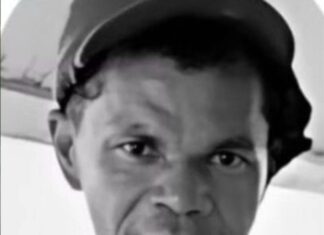 Motorista De Hilux Atropela E Mata Gari Na BR-101; Suspeito Fugiu Sem Prestar Socorro