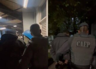 Polícia Captura Chefe De Facção Ligado à Ex-Dama De Copas Do Baralho Do Crime Em SP