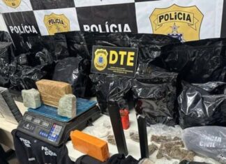 Polícia Civil Apreende 30kg De Drogas E Mira Esquema Que Atuaria Na Micareta De Feira