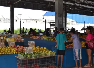 Ceasa Do Ogunjá é Interditada Sem Previsão De Reabertura