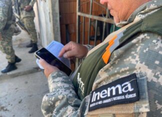 Bom Jesus Da Lapa: Fiscalização Combate Tráfico De Animais Silvestres