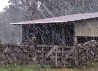Primeira Neve Do Ano é Registrada No Sul Do Brasil Nesta Quinta-feira (29)
