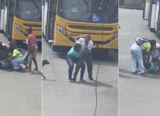 Ônibus Vira Ringue: Motorista E Passageira Protagonizam Briga Em Salvador